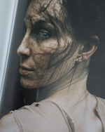 Load image into Gallery viewer, Icarus
