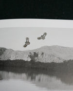 Load image into Gallery viewer, Icarus
